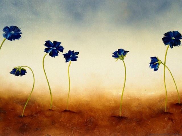 Blue Ridge<br/>18" x 36"<br/>Barbara Hafner