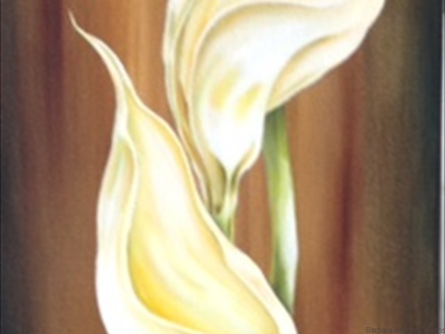Calla Lilies<br/>Oil<br/>Maxine Gillilan
