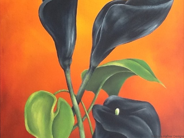 Black Calla Lily<br/>18" x 24"<br/>Maxine Gillilan