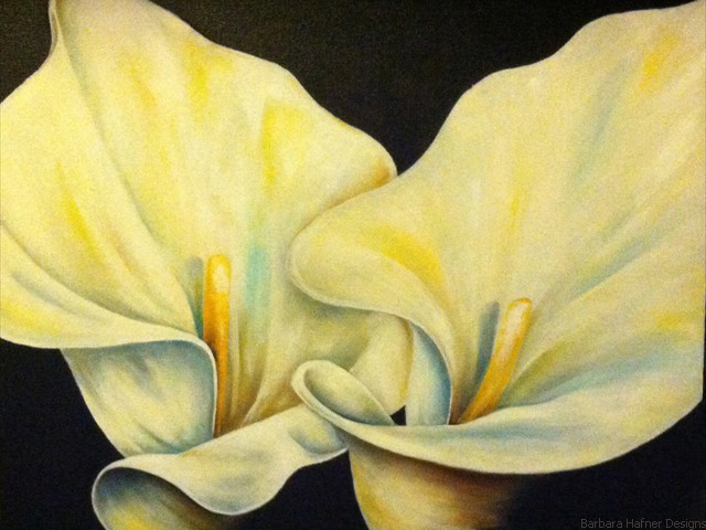 Two White Calla Lilies<br/>24" x 24"<br/>Maxine Gillilan