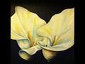 Two White Calla Lilies
24" x 24"
Maxine Gillilan