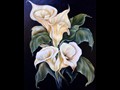 White Callas
20" x 30"
Maxine Gillilan
