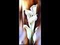 White Callas
6" x 12"
Maxine Gillilan