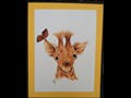 Baby Giraffe and Butterfly
14" x 16"
Maxine Gillilan
