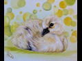 Duckling
12" x 12"
Maxine Gillilan